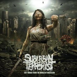 RECENZE: debutová alba Suburban Terrorist a Noostrak